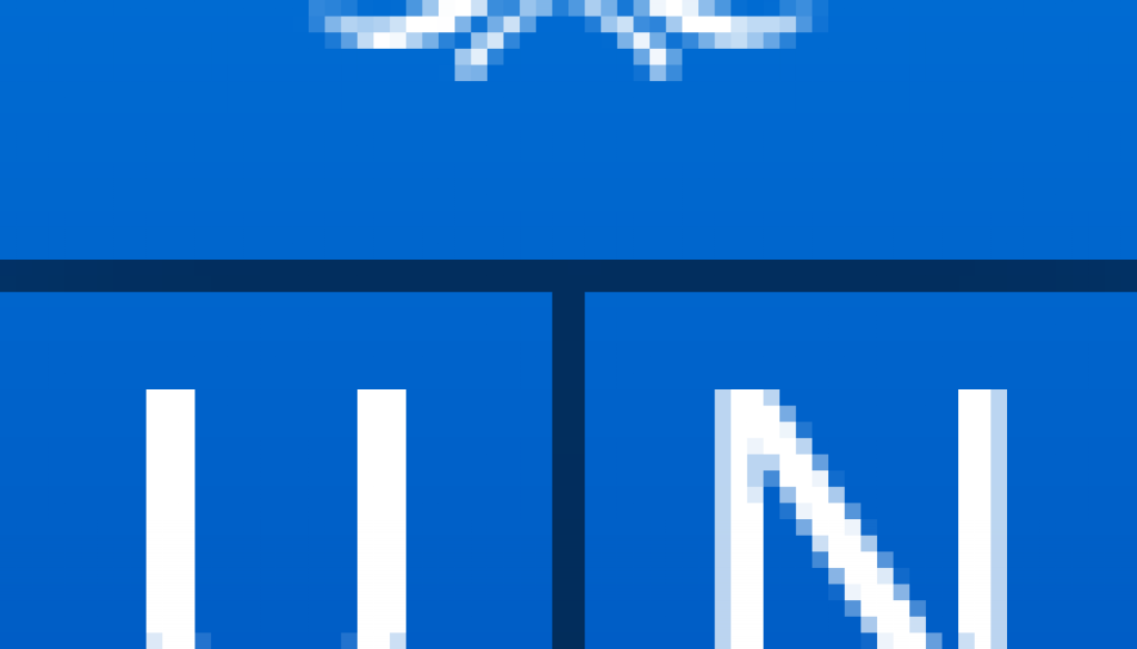 Consultancy for Support to Electoral Integrity and Democratic Empowerment Project Vacancy Job Ref: VACUNDP2021-10 eHealth IT System Assistant Vacancy Job Ref: VACUNDP0884-10